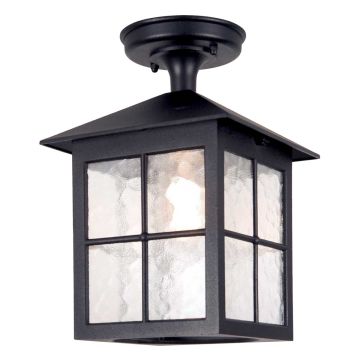Elstead Lighting WINCHESTER BL18A-BLACK Таванен светилник 1x60W/E27 IP43