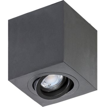 AZzardo BRANT AZ2825 Повърхностно светило 1x50W/GU10 IP20