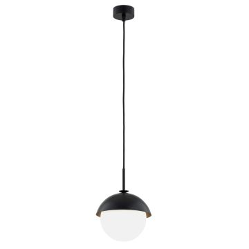 Argon CAPPELLO 8295 Висяща лампа 1x15W/E27 IP20