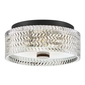 Hinkley Lighting Elle HK-ELLE-F-S-BK Таванен светилник 2x60W/E27 IP20