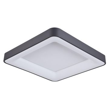Italux GIACINTO 5304-850SQC-BK-4 Таванен светилник 1x50W/LED 4000K 2750LM IP20