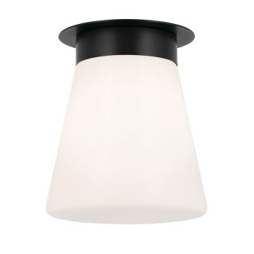 Kichler Albers KL-ALBERS-F-T-BK Таванен светилник 1x40W/E27 IP20