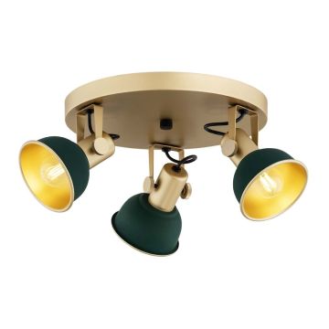 Argon LENORA 6242 Спот 3x7W/E14 IP20