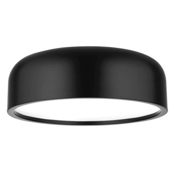 Luces Exclusivas GUIGUE LE42036 Таванна лампа IP20