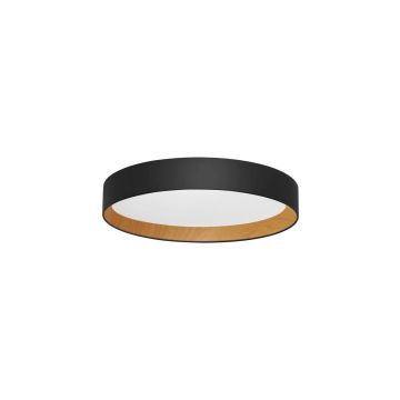 Luces Exclusivas ROSITA LE43588 Таванен светилник 1x50W/led 3000k IP20 3166lm