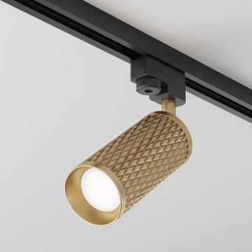 Maytoni FOCUS DESIGN TR011-1-GU10-G Шинен фар 1x50W/GU10 IP20