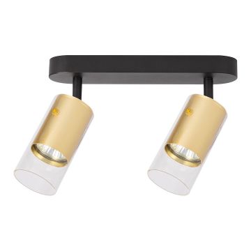 Milagro RICKY ML0691 Спот 2x8W/GU10 IP20