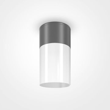 Maytoni WILLIS O418CL-01GR Повърхностно светило 1x60W/E27 IP54