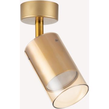 Zuma Line REN OB-2211BD-1-GLD Спот 1x50W/GU10