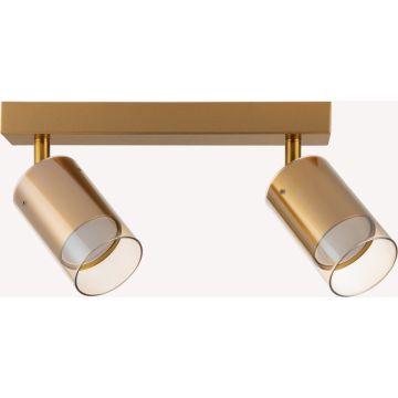 Zuma Line REN OB-2211BD-2-GLD Спот 2x50W/GU10