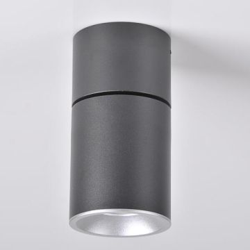 Polux ASTRA 314055 Повърхностно светило max 10W LED IP20