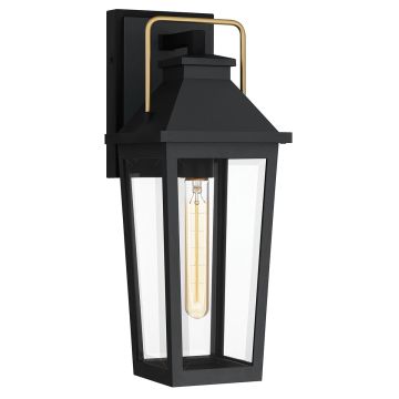 Quoizel Buckley QZ-BUCKLEY-M-MBK Светильник за стена 1x40W/E27 IP44