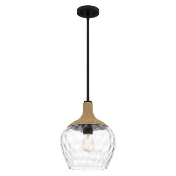 Quoizel Royer QZ-ROYER-1P-MBK Висяща лампа 1x60W/E27 IP20