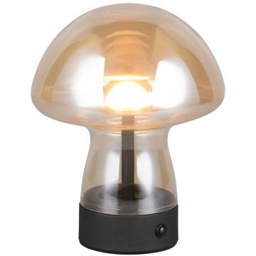 Trio DOOLEY R54981113 Масичка лампа 1x1.5w/led 3000k 140lm ip20