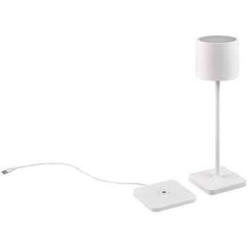 Trio FERNANDEZ R54096131 Масичка лампа 1x1w/led 2700+4000+6000K 130lm ip54