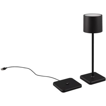 Trio FERNANDEZ R54096132 Масичка лампа 1x1w/led 2700+4000+6000K 130lm ip54