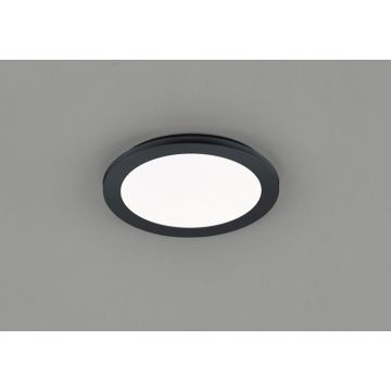 Trio CAMILLUS R62921532 Таванна лампа 1x15w/led 3000k 1350lm ip44