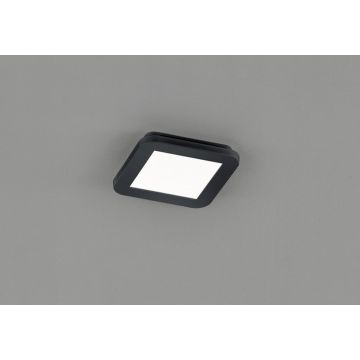 Trio CAMILLUS R62931032 Таванна лампа 1x10w/led 3000k 850lm ip44