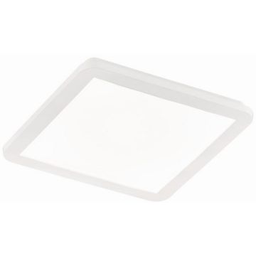 Trio CAMILLUS R62931801 LED панел 1x18w/led 3000k 1650lm ip44