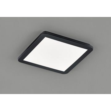 Trio CAMILLUS R62931832 Таванна лампа 1x18w/led 3000k 1650lm ip44