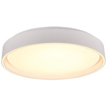 Trio FELIS R64391031 Таванна лампа 1x24w/led 2700-6500K 2500lm ip20