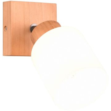 Trio ASSAM R81111030 Светильник за стена 1x25w/e14 ip20