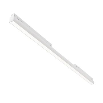 Maytoni Basis TR030-4-30WTW-DD2-W Шинен фар 1x30W/LED IP20