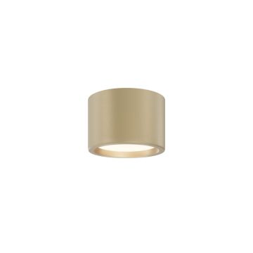 Maytoni Hydra C090CL-10W3K-MG Повърхностно светило 1x10W/LED 3000K 650lm IP44