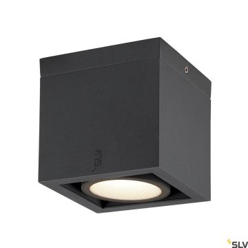 SLV ESKINA 1006316 Повърхностно светило 1x15W/LED 3000K|4000K 1100LM|1200LM IP65