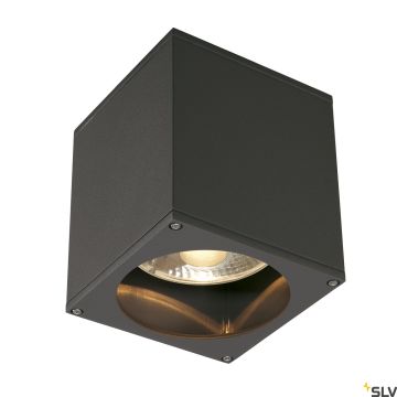 SLV THEO 229555 Таванен светилник 1x75W/GU10/ES111 IP44