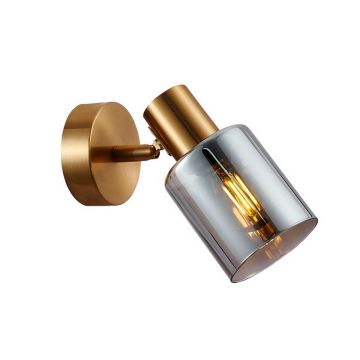 Italux Santia SPL-65342-1-BRO-SG Спот 1x40W/E14 IP20