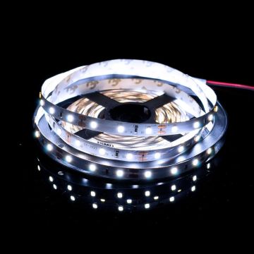 SMD LED PROline TAS4205SLL LED лента 60x6W/m/LED 6000K 620 lm/m IP20