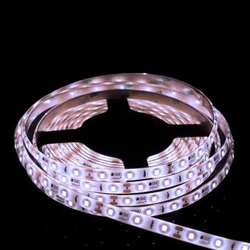 SMD LED PROline TAS4250SLL LED лента 60x6W/m/LED 6000K 620 lm/m IP66