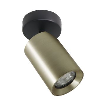 Zuma Line TORE TLS006-GLD Спот 1x35W/GU10 IP20
