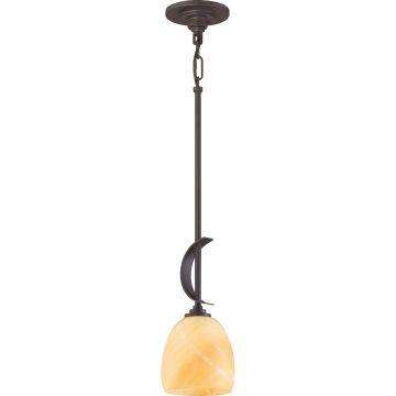 Quoizel SALZBURG QZS-TST2520C Висяща лампа 1x60W/E27