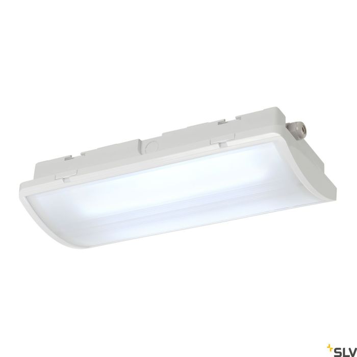 SLV-P-LIGHT-240004-SPL240004